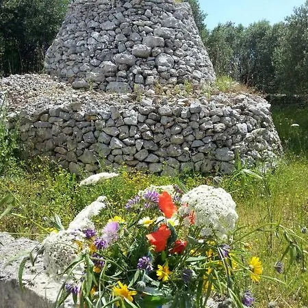 Alma Terra Salento