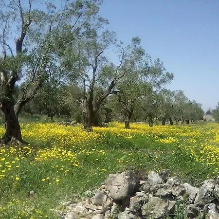 Alma Terra Salento *